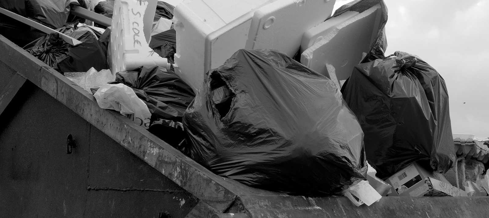 Waste Disposal The Journey of Waste from Your Home