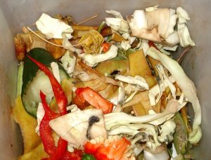 biodegradable_waste