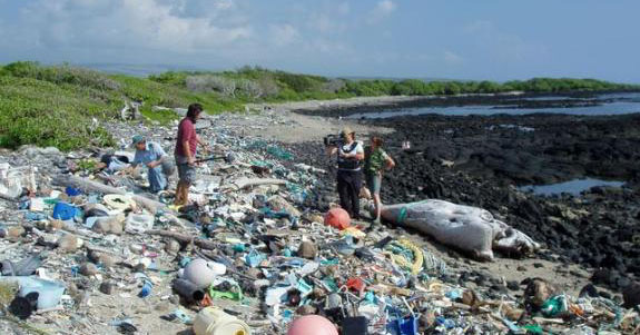 sea-waste